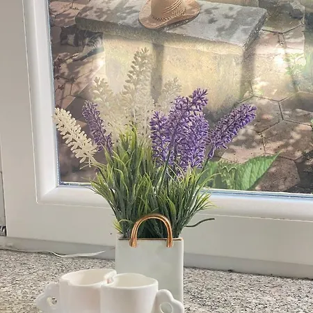 Alina Apartmán *